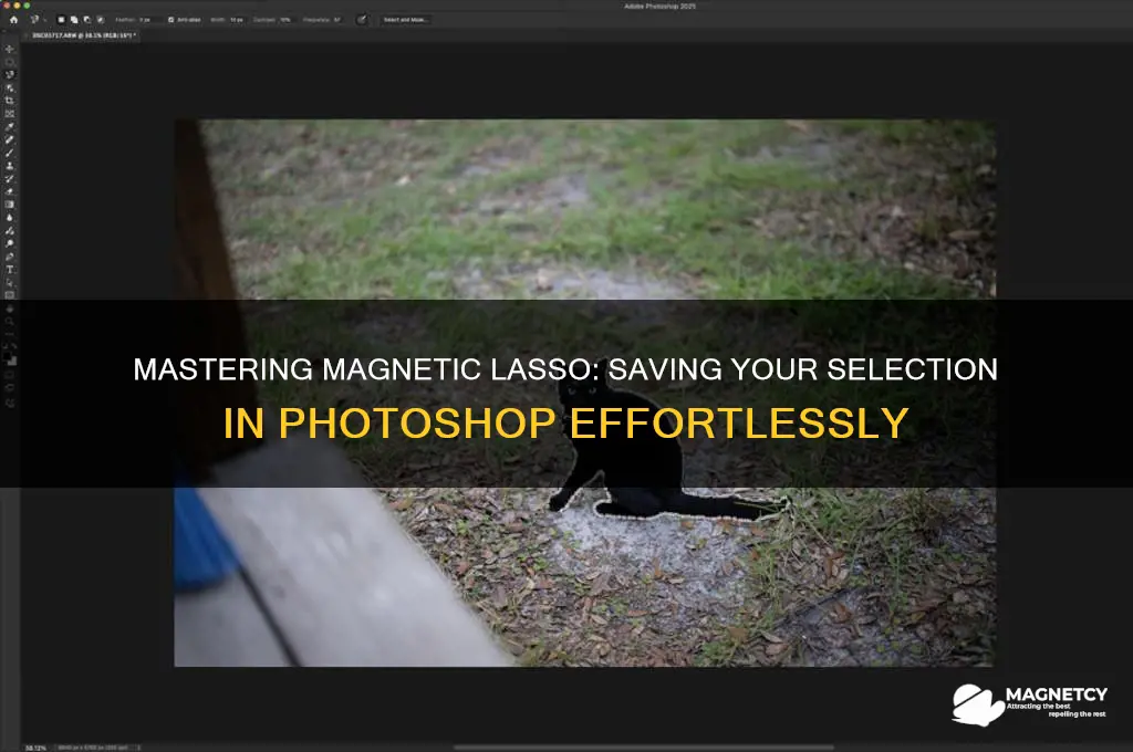 how to save something after you use magnetic lasso tool