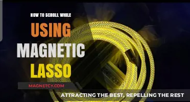 Mastering Magnetic Lasso: Smooth Scrolling Techniques for Precision Selection