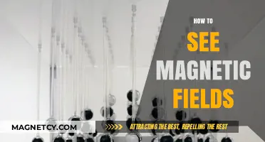 Visualizing the Invisible: A Guide to Observing Magnetic Fields