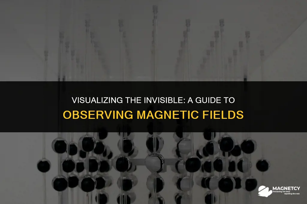 how to see magnetic fields