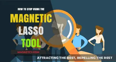 Mastering Selection Techniques: Alternatives to the Magnetic Lasso Tool