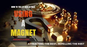 Is Your Gold Real? Magnet Test Reveals the Truth