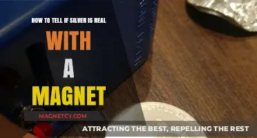 Unveiling the Truth: Magnet Test for Authentic Silver