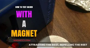 Unveiling Silver's Secrets: The Magnetic Test Revealed