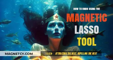 Mastering the Magnetic Lasso Tool: Quick Undo Tips for Precision Editing