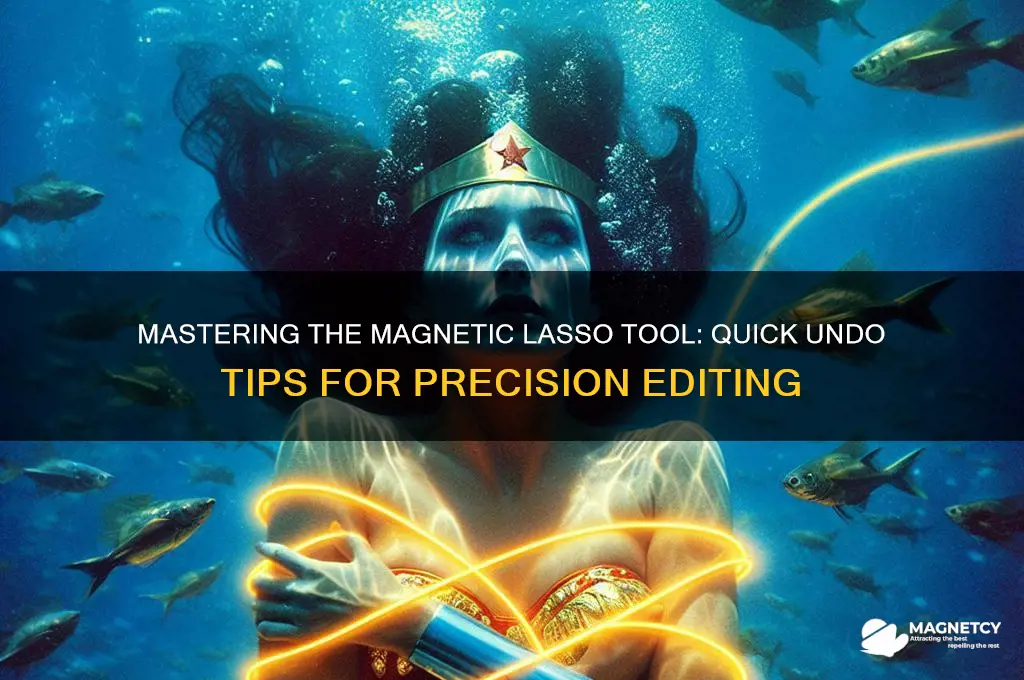 how to undo using the magnetic lasso tool