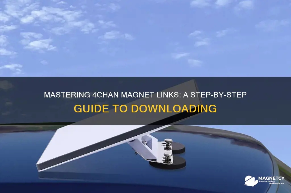 how to use 4chan magnet links