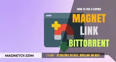 Mastering BitTorrent: How to Use Copied Magnet Links Effectively
