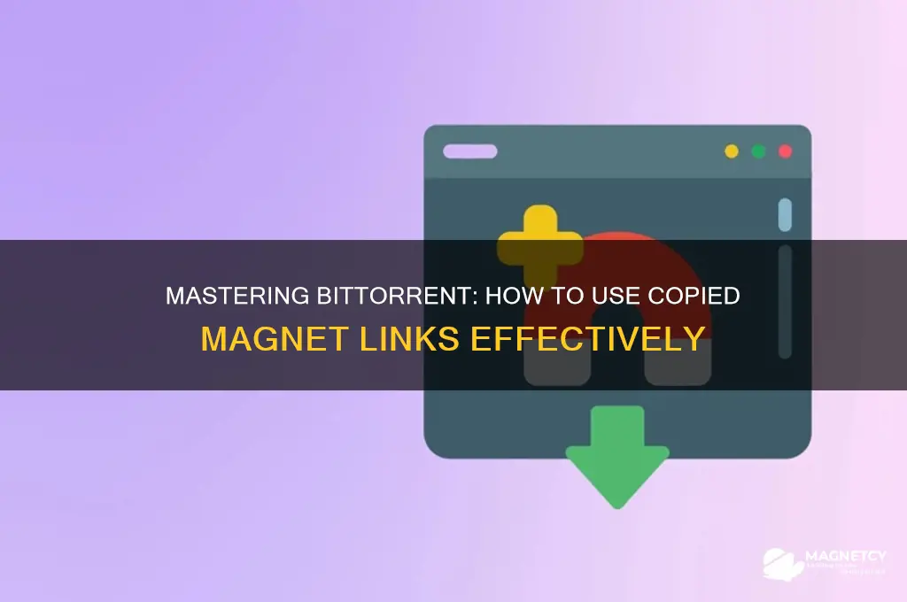 how to use a copied magnet link bittorrent