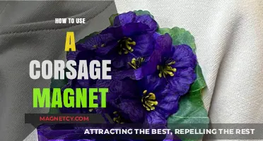 Mastering Corsage Magnets: A Simple Guide to Securely Wearing Flowers