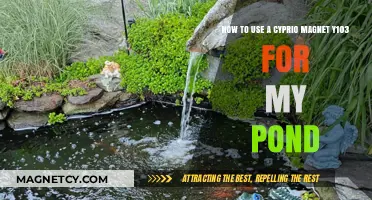 Cyprio Magnet Y103: Effective Pond Cleaning Tips and Techniques