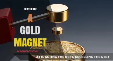 Mastering Gold Magnet Techniques: Effective Tips for Accurate Metal Detection