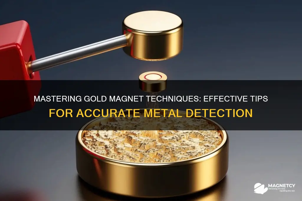 how to use a gold magnet
