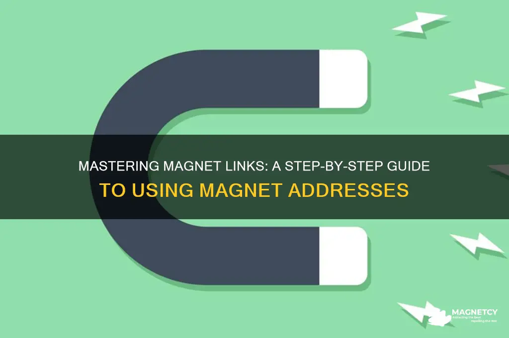 how to use a magnet link address