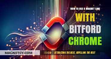 Mastering Magnet Links: A Step-by-Step Guide for Bitford Chrome Users
