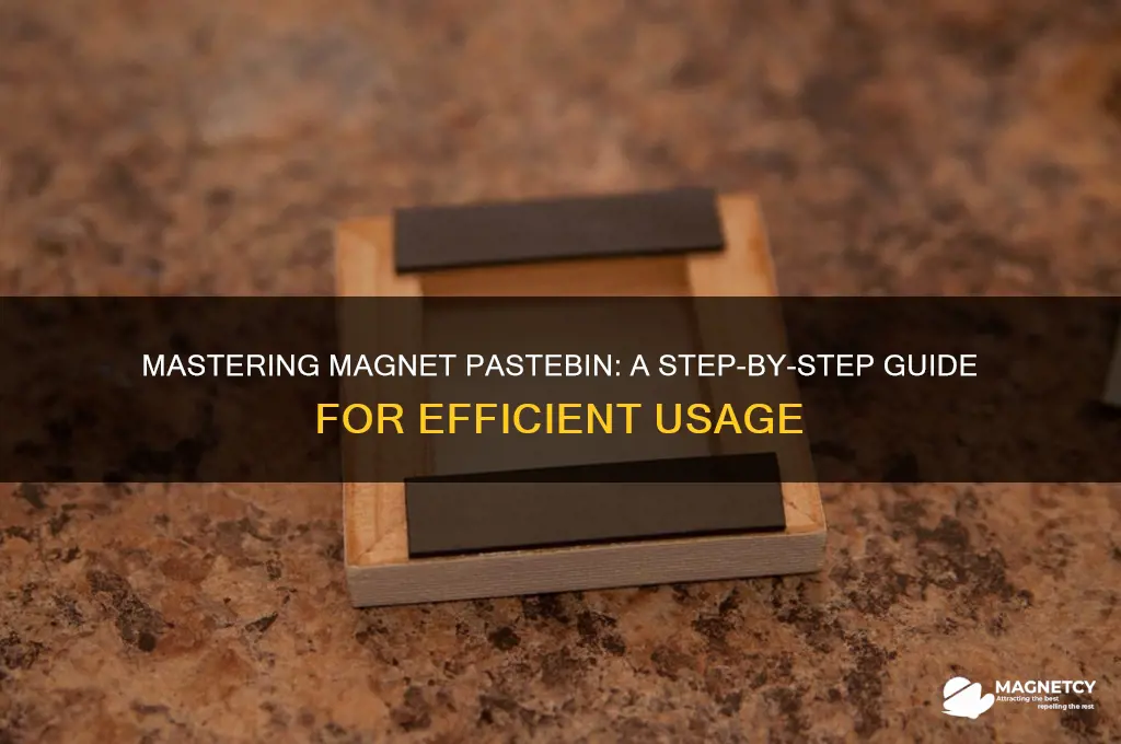 how to use a magnet pastebin