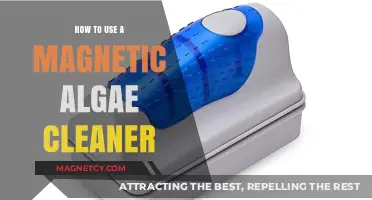 Mastering Magnetic Algae Cleaners: Effortless Aquarium Maintenance Tips