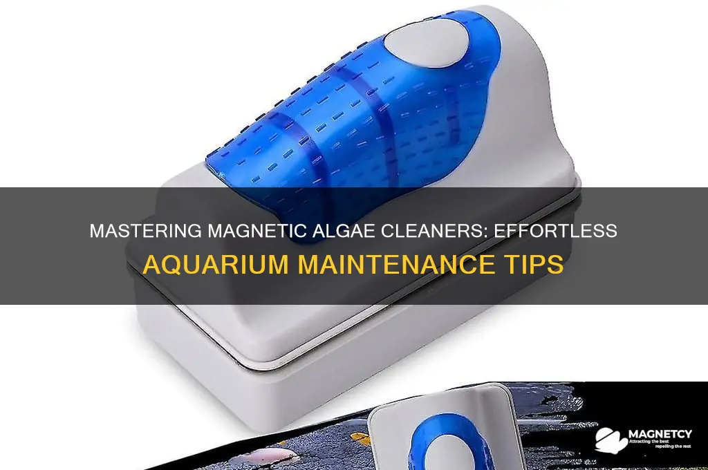 how to use a magnetic algae cleaner