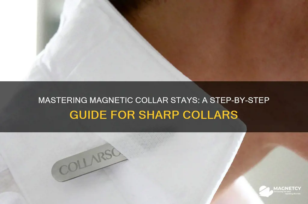 how to use a magnetic collar stay