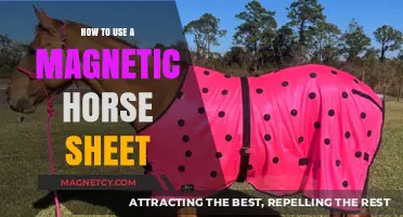Mastering Magnetic Horse Sheets: A Guide to Proper Use and Benefits