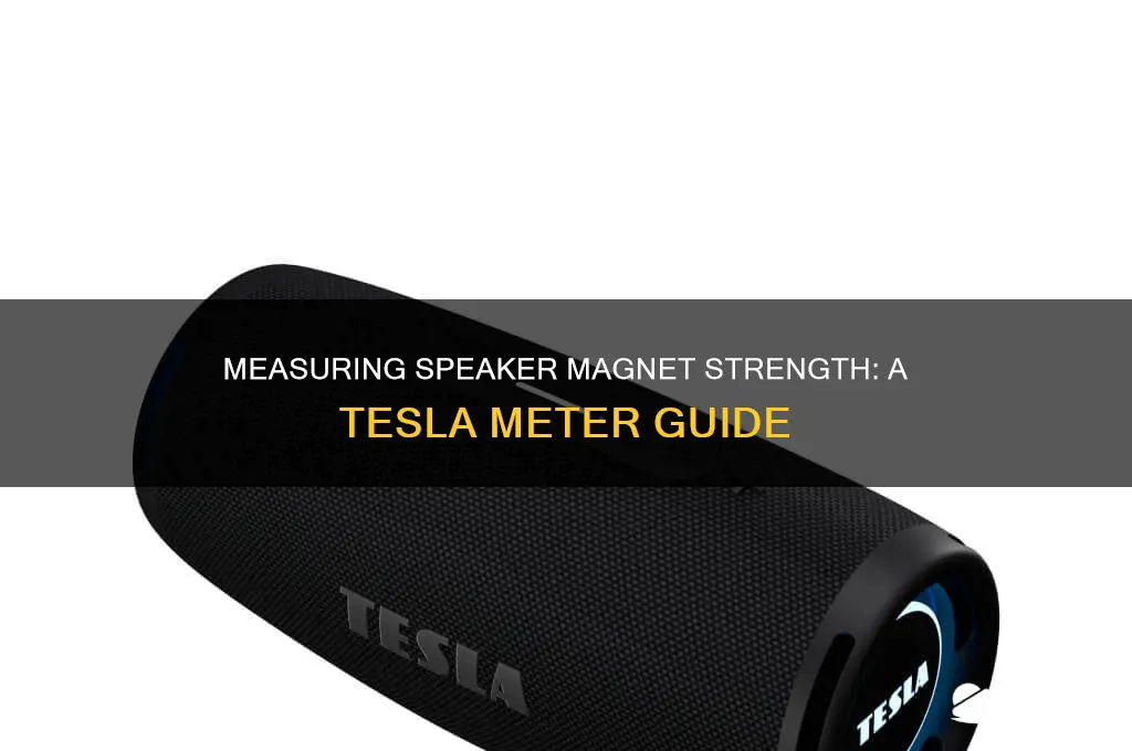 how to use a tesla meter on a speaker magnet
