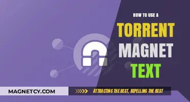 Mastering Torrent Magnet Links: A Step-by-Step Guide for Beginners