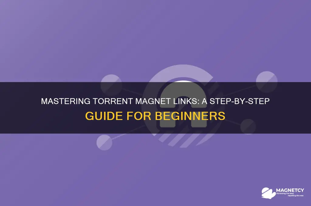 how to use a torrent magnet text