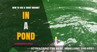 Mastering Pond Fishing: Effective Trout Magnet Techniques for Big Catches