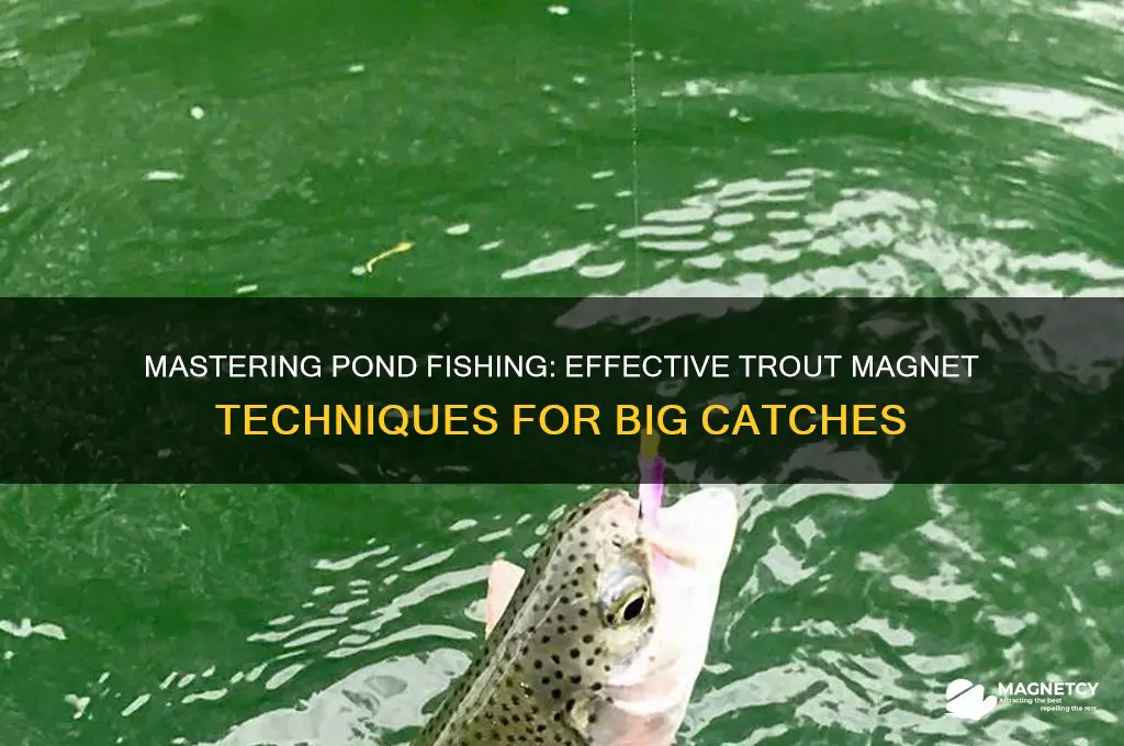 how to use a trout magnet in a pond
