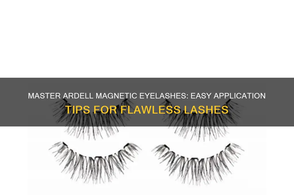 how to use ardell magnetic eyelashes