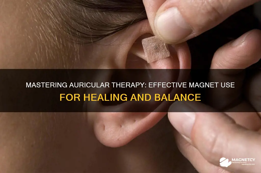 how to use auricular therapy magnets