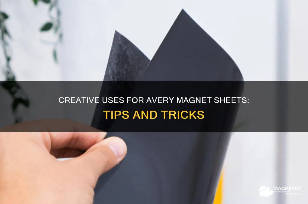 how to use avery magnet sheets
