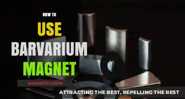 Mastering the Barvarium Magnet: A Step-by-Step Usage Guide