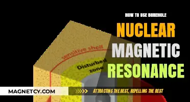 Mastering Borehole Nuclear Magnetic Resonance: Techniques and Applications