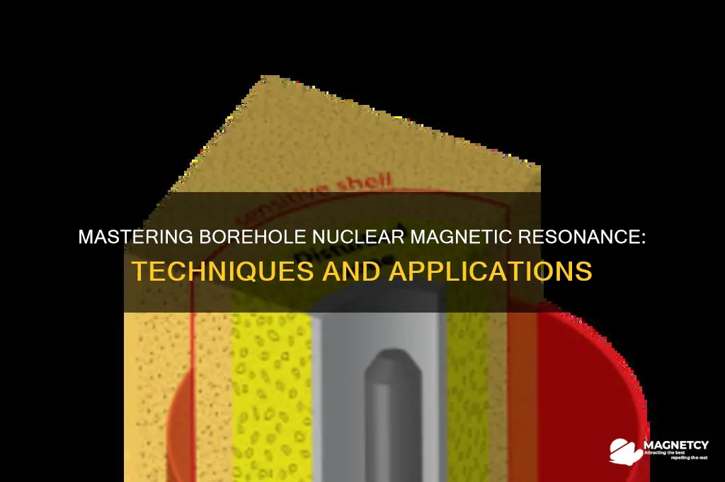 how to use borehole nuclear magnetic resonance