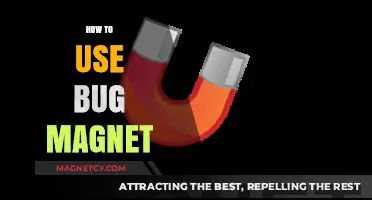Mastering Bug Magnet: Effective Techniques for API Testing Success