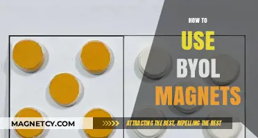 Mastering BYOL Magnets: A Step-by-Step Guide for Effective Use