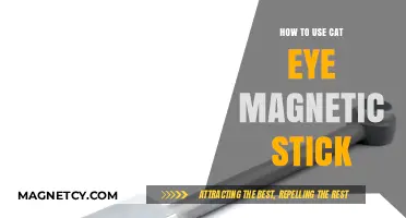 Mastering the Cat Eye Magnetic Stick: Easy Steps for Perfect Wings