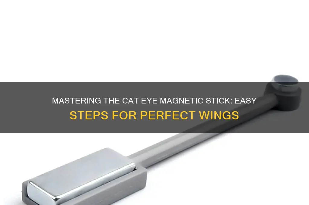 how to use cat eye magnetic stick