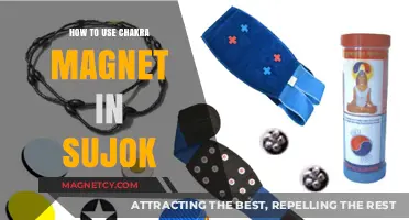 Mastering Chakra Magnet Techniques in Sujok Therapy for Holistic Healing
