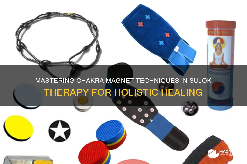 how to use chakra magnet in sujok