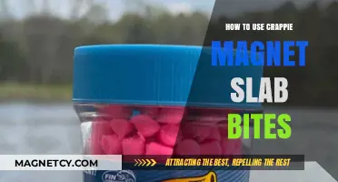 Mastering Crappie Magnet Slab Bites: Tips for Big Catches