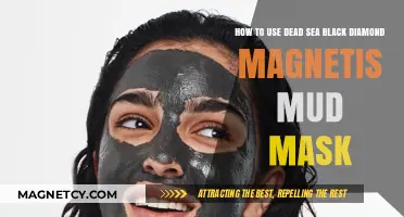Unlock Radiant Skin: Dead Sea Black Diamond Magnetism Mud Mask Guide