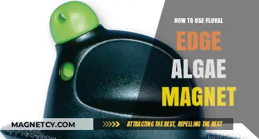 Mastering Fluval Edge Algae Magnet: Effective Cleaning Tips for Your Aquarium