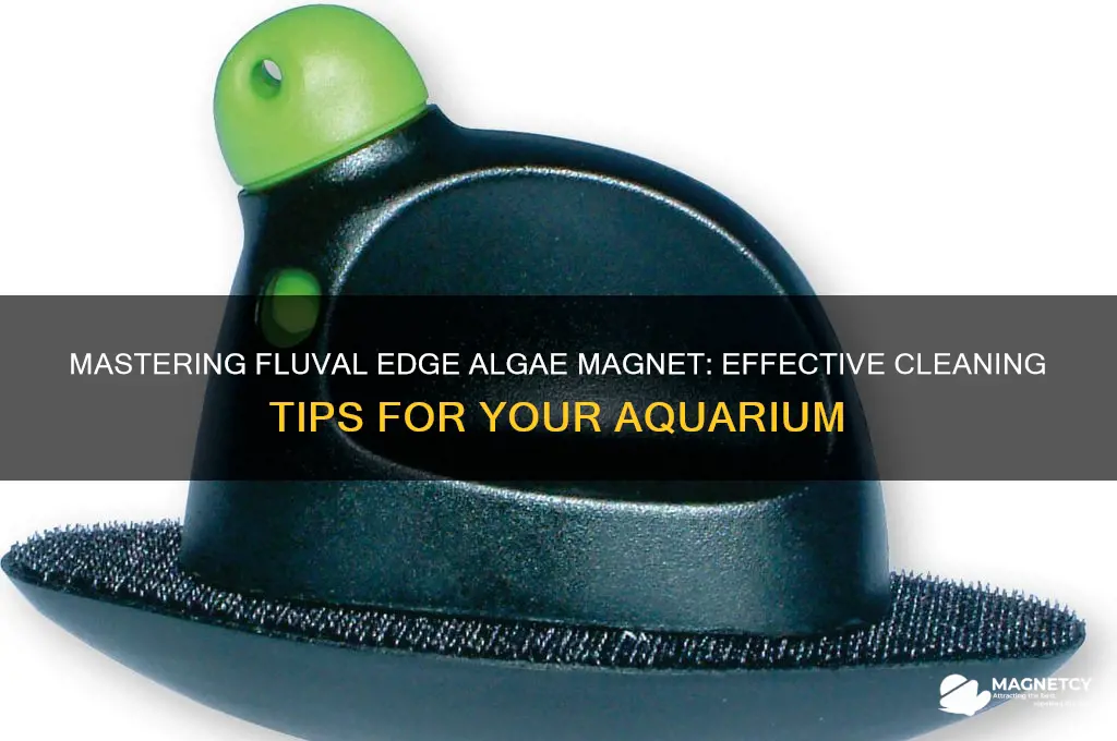 how to use fluval edge algae magnet