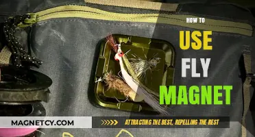 Mastering Fly Magnets: Effective Techniques for Pest Control and Management