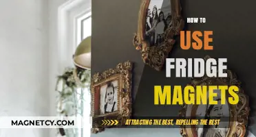 Creative Ways to Organize and Decorate with Fridge Magnets