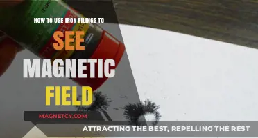 Visualize Magnetic Fields: Using Iron Filings for Clear Insights