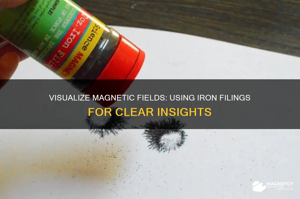 how to use iron filings to see magnetic field