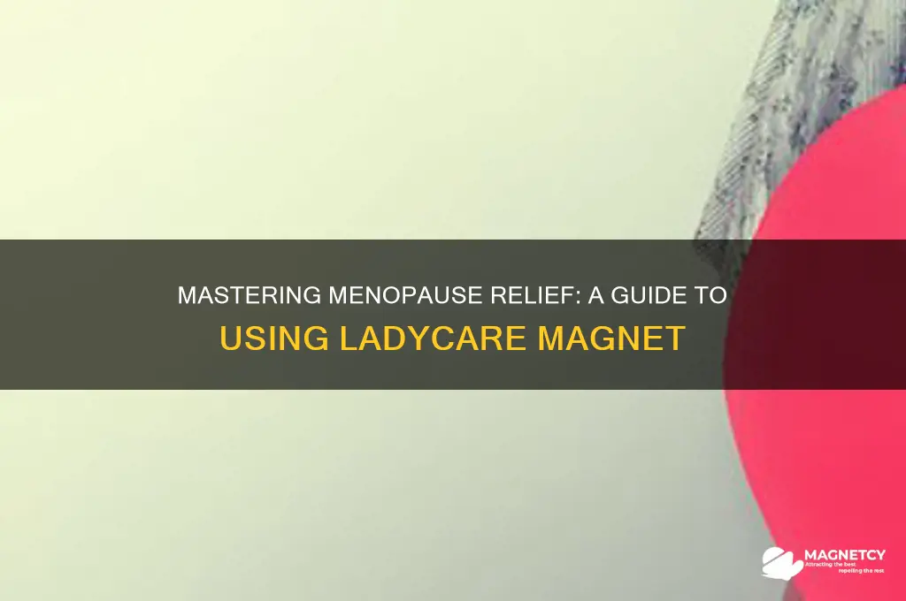 how to use ladycare magnet